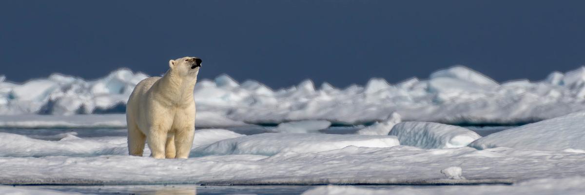 Save 25% on Select 2024 Small-Ship Expeditions